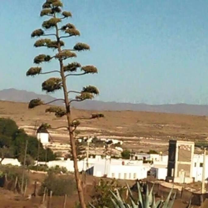 Casa Rural El Jazminero Fernan Perez Εξωτερικό φωτογραφία